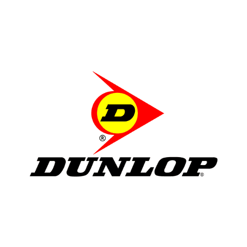Dunlop Enasave